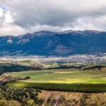 Mirador Marchant