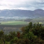 Mirador Marchant