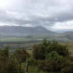Mirador Marchant