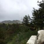 Mirador Marchant